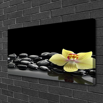 Photo sur toile Pierres fleurs cuisine jaune noir