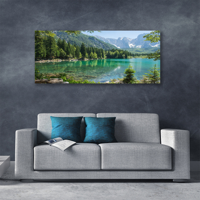 Photo sur toile Montagnes lac forêt nature gris vert bleu