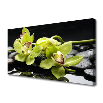 Photo sur toile Pierres fleurs floral vert noir