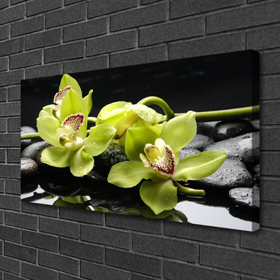 Photo sur toile Pierres fleurs floral vert noir