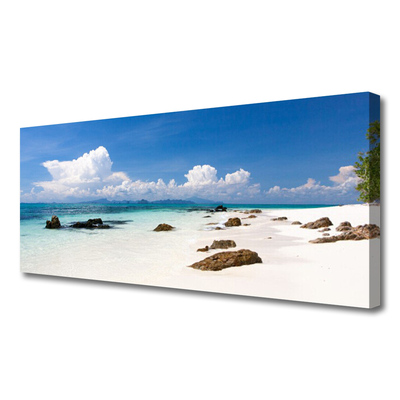 Photo sur toile Pierres plage paysage blanc gris