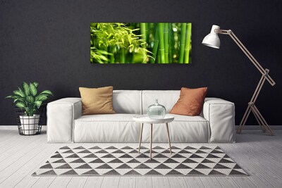 Photo sur toile Bambou feuilles floral vert