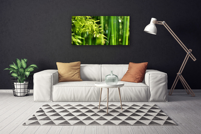 Photo sur toile Bambou feuilles floral vert