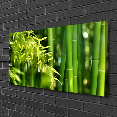 Photo sur toile Bambou feuilles floral vert