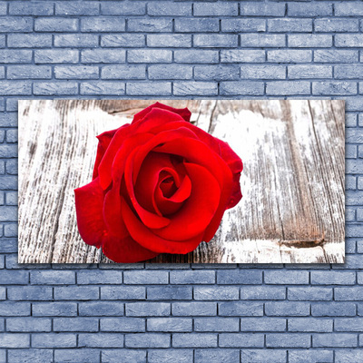 Photo sur toile Rose floral rouge