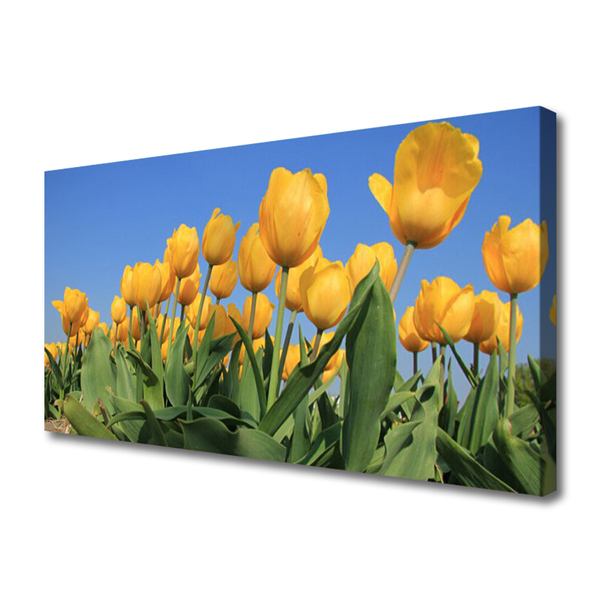 Photo sur toile Tulipes floral jaune