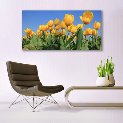 Photo sur toile Tulipes floral jaune