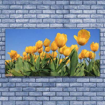 Photo sur toile Tulipes floral jaune