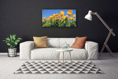 Photo sur toile Tulipes floral jaune