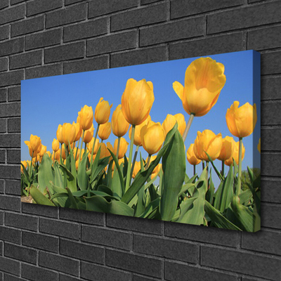 Photo sur toile Tulipes floral jaune