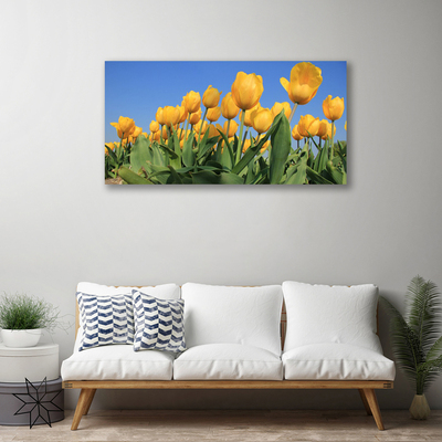 Photo sur toile Tulipes floral jaune