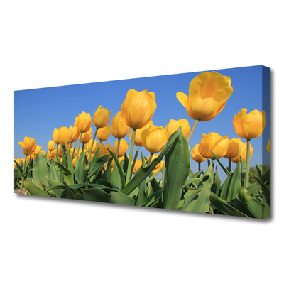 Photo sur toile Tulipes floral jaune