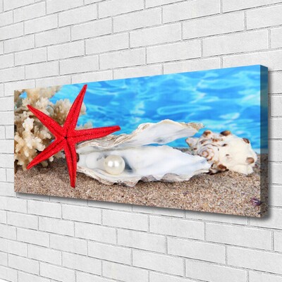 Photo sur toile Étoile de mer coquilles nature rouge blanc