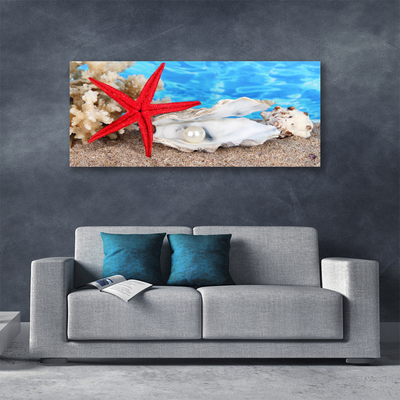 Photo sur toile Étoile de mer coquilles nature rouge blanc