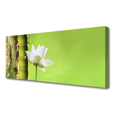Photo sur toile Fleur bambou floral vert blanc