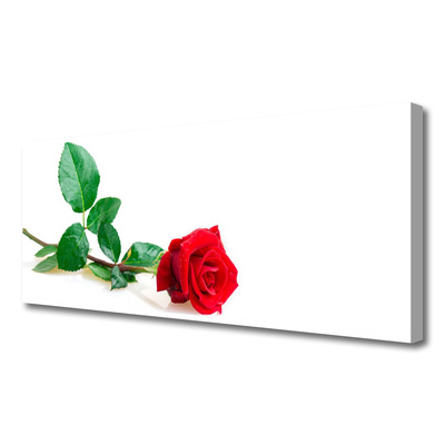 Photo sur toile Rose floral rouge