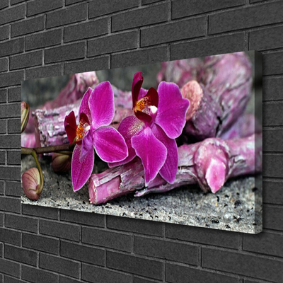 Photo sur toile Fleurs bois floral brun rouge