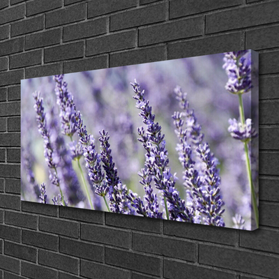 Photo sur toile Fleurs floral violet