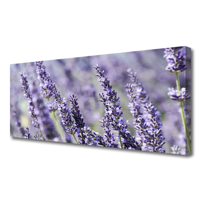 Photo sur toile Fleurs floral violet