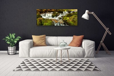 Photo sur toile Rochers cascade nature blanc vert