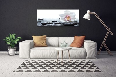 Photo sur toile Pierres fleurs art blanc noir