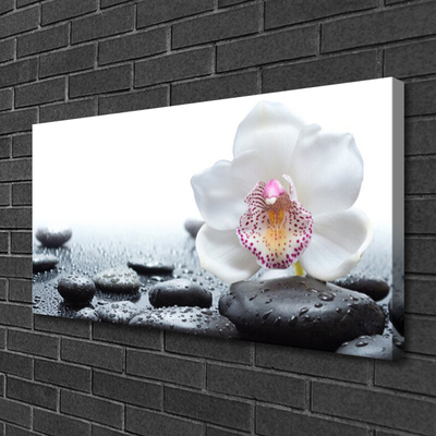 Photo sur toile Pierres fleurs art blanc noir