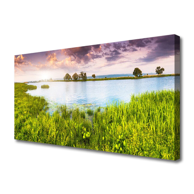 Photo sur toile Lac herbe nature vert bleu