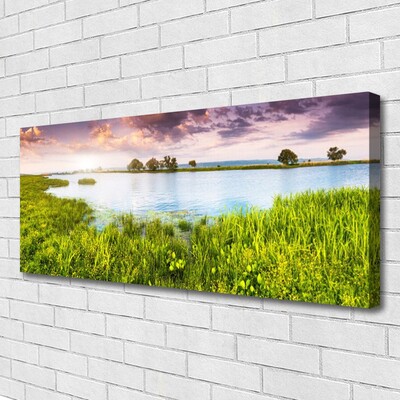 Photo sur toile Lac herbe nature vert bleu