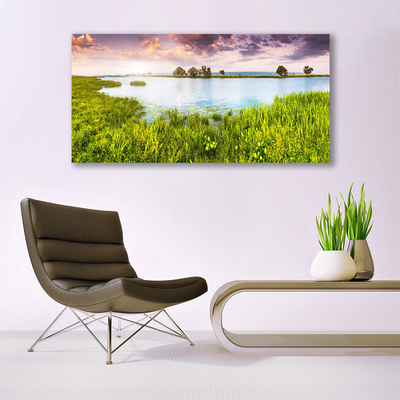 Photo sur toile Lac herbe nature vert bleu