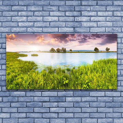 Photo sur toile Lac herbe nature vert bleu