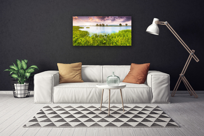 Photo sur toile Lac herbe nature vert bleu