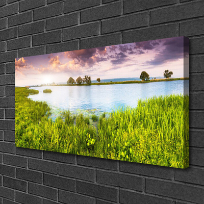 Photo sur toile Lac herbe nature vert bleu