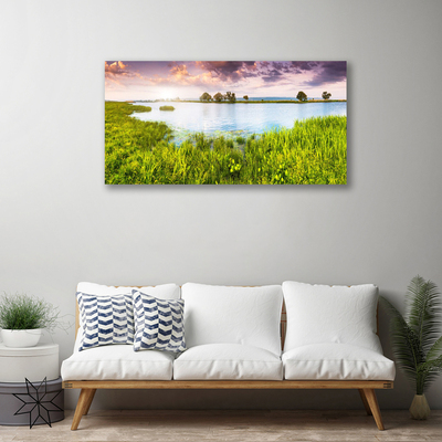 Photo sur toile Lac herbe nature vert bleu