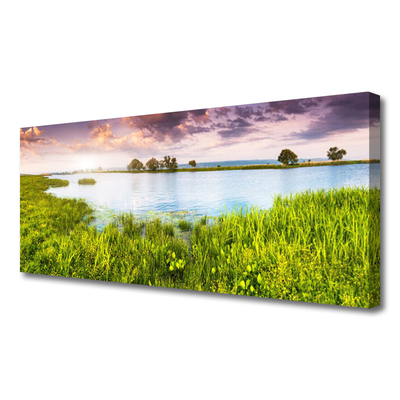 Photo sur toile Lac herbe nature vert bleu