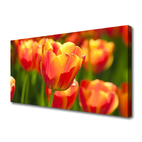 Photo sur toile Tulipes floral jaune rouge