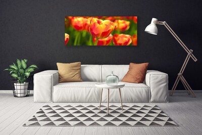 Photo sur toile Tulipes floral jaune rouge