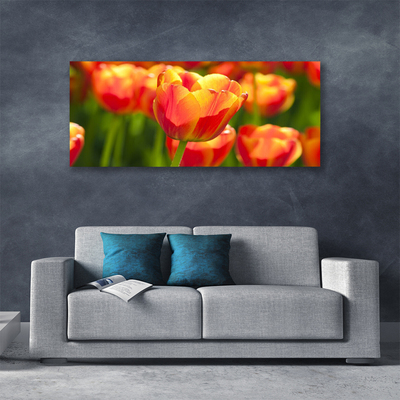 Photo sur toile Tulipes floral jaune rouge