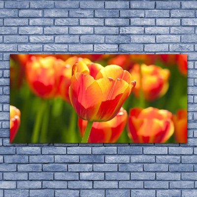 Photo sur toile Tulipes floral jaune rouge