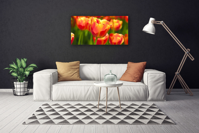 Photo sur toile Tulipes floral jaune rouge