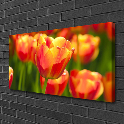 Photo sur toile Tulipes floral jaune rouge