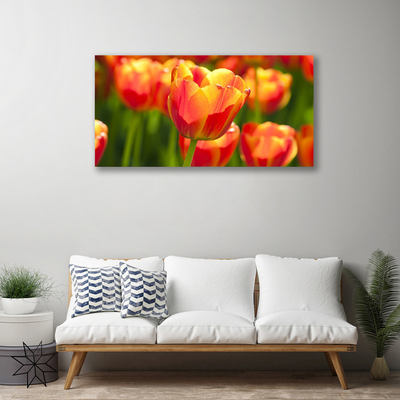 Photo sur toile Tulipes floral jaune rouge
