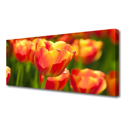 Photo sur toile Tulipes floral jaune rouge