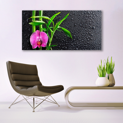 Photo sur toile Fleur bambou floral rose vert