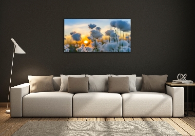 Photo sur toile Fleurs floral blanc