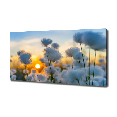 Photo sur toile Fleurs floral blanc