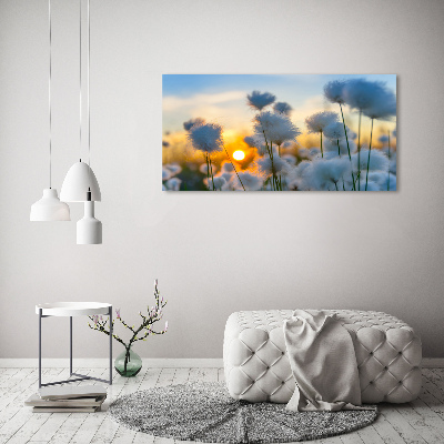 Photo sur toile Fleurs floral blanc