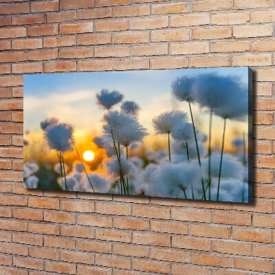 Photo sur toile Fleurs floral blanc