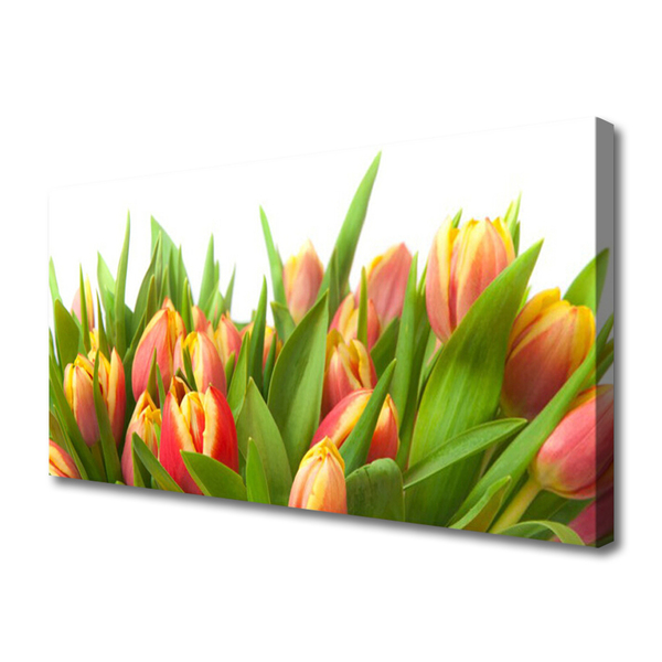 Photo sur toile Tulipes floral orange jaune