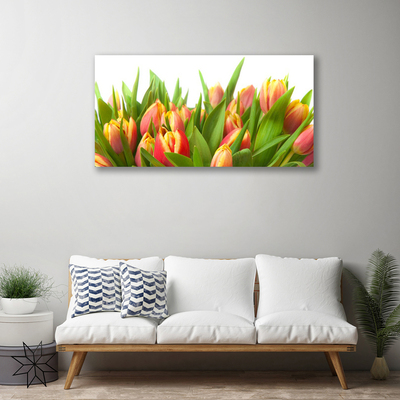 Photo sur toile Tulipes floral orange jaune