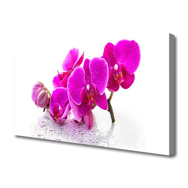 Photo sur toile Fleurs floral rose